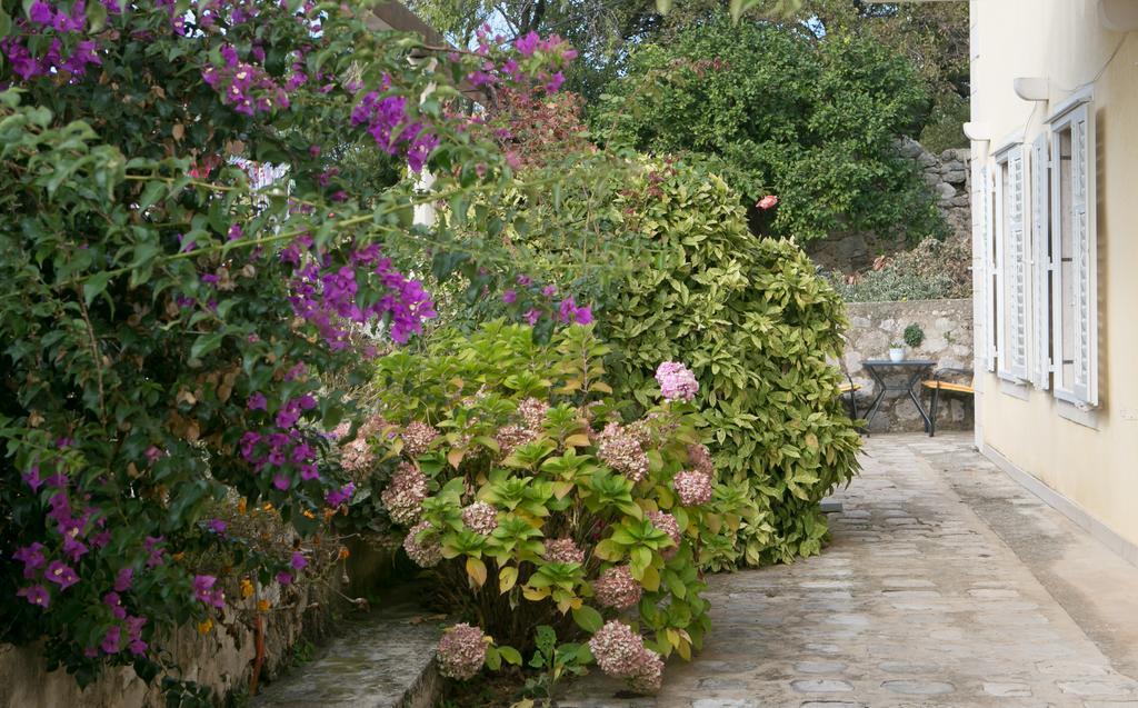 Villa Bona Dubrovnik Buitenkant foto